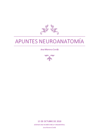 APUNTES-NEUROANATOMIA.pdf