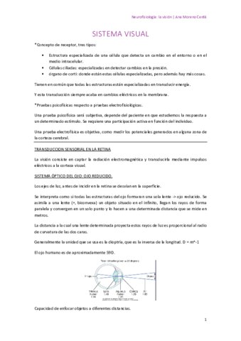 sistema-visual.pdf