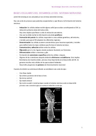 BASES-CELULARES-DEL-DESARROLLO-DEL-SISTEMA-NERVIOSO.pdf