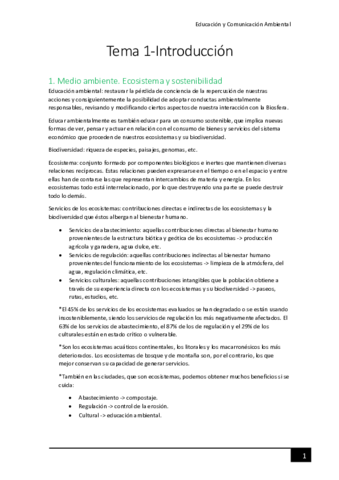 Tema-1-Introduccion.pdf