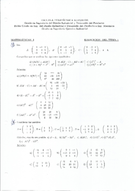 MI_T1_EJERCICIOS RESUELTOS.pdf