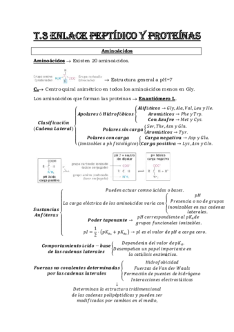 Esquema-Tema-3-El-enlace-peptidico.pdf
