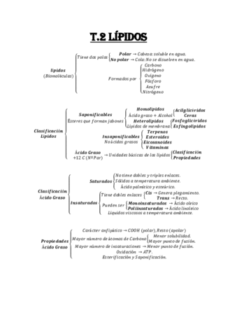 Esquema-Tema-2-Lipidos.pdf