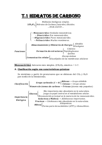 Esquema-Tema-1-Hidratos-de-Carbono.pdf