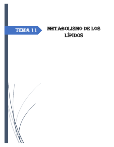 Resumen-Tema-11-Metabolismo-de-los-lipidos.pdf