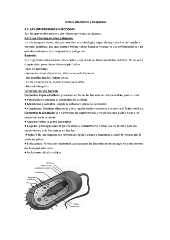 Tema-5-infecciones-y-neoplasias.pdf