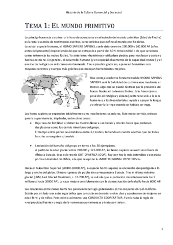 TEMA-1historiaaaa.pdf