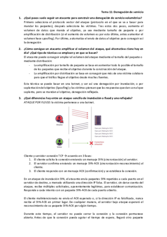 Tema-11Denegaciones-de-servicio.pdf