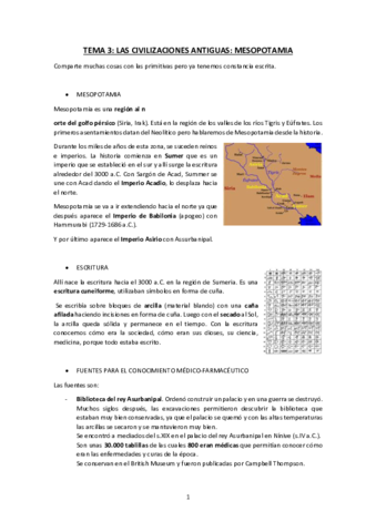TEMA 3. mesopotamia.pdf