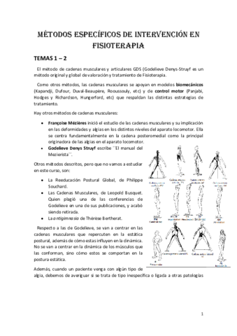 CADENAS-MUSCULARES-Ma-Jose.pdf
