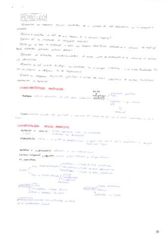 Tema-Petroleo-Teoria-MPRE.pdf