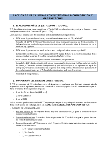 30 TRIBUNAL CONSTITUCIONAL I.pdf