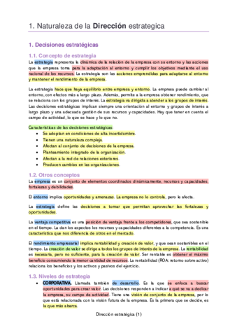 APUNTES-Direccion-estrategica.pdf