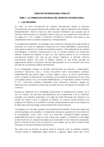 TEMA-1-Internacional.pdf