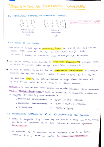 APUNTES-CON-EXPLICIONES-Y-EJEMPLOS-PROFESORADRAPER.pdf