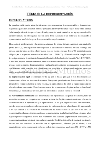 TEMA-VI-La-representacion.pdf