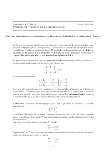 Matrices2Fin.pdf