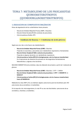 TEMA_07_MICRO_I_RODELAS.pdf
