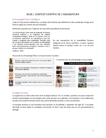 Salut-i-ambient-Bloc-III-i-III.pdf