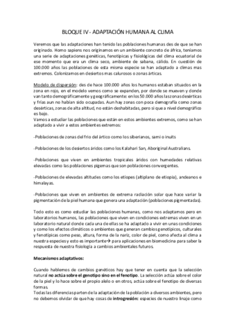 Salut-i-ambient-Bloc-IV.pdf
