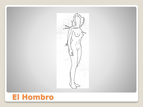 MusculaturaHombro-1.pdf