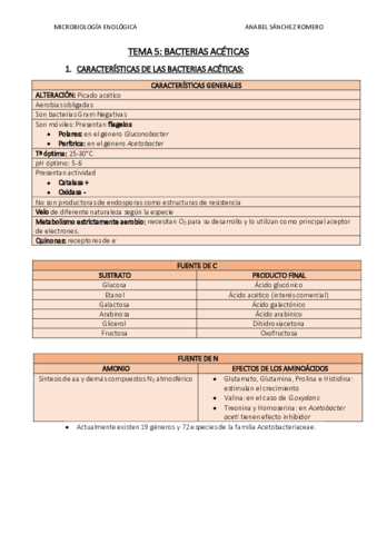 RESUMEN-TEMA-5.pdf