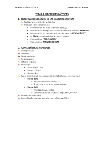 RESUMEN-TEMA-4.pdf