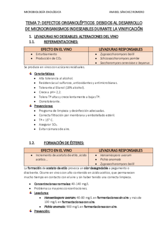RESUMEN-TEMA-7.pdf