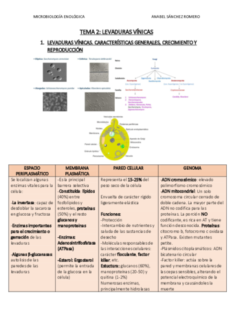 RESUMEN-TEMA-2.pdf