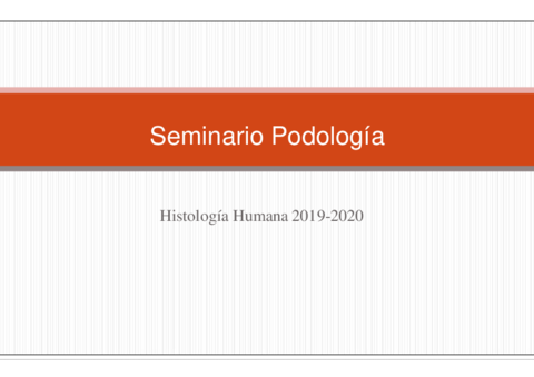 SEMINARIO-CIRCULATORIO-ANEJOS-Y-SANGRE-RUBI.pdf