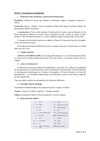 TEMA-1-BASKET.pdf