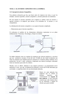 TEMA 3 Dirección estratégica.pdf