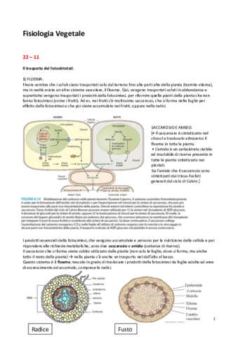 6.pdf