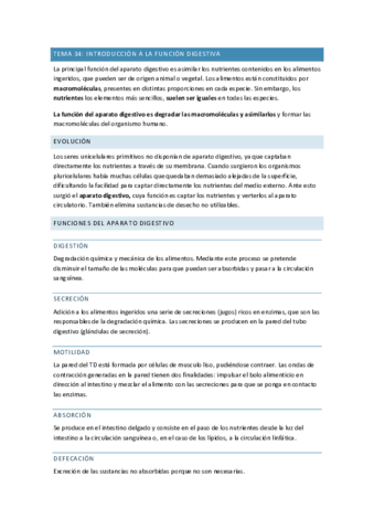 TODO-BLOQUE-VI.pdf