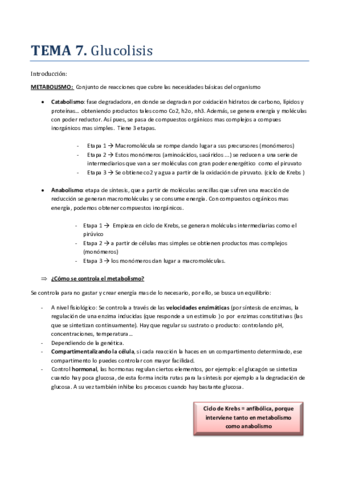 TEMA-7-BIOQUIMICA.pdf