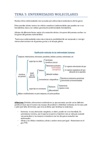 TEMA-5-BIOQUIMICA.pdf