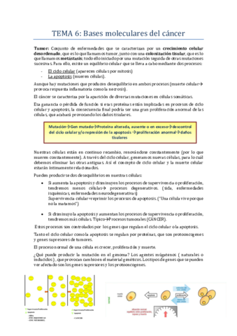 TEMA-6-BIOQUIMICA.pdf
