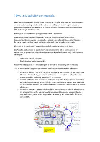 TEMA-13-BIOQUIMICA.pdf