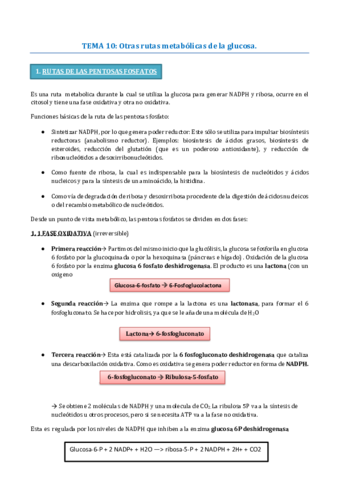 TEMA-10-BIOQUIMICA.pdf