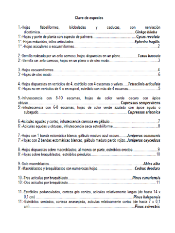 Clave-Gimnospermas.pdf