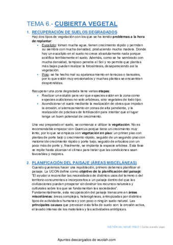 wuolah-free-Tema-6.pdf