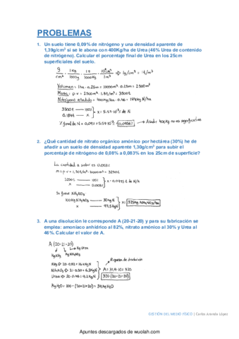 wuolah-free-Problemas.pdf