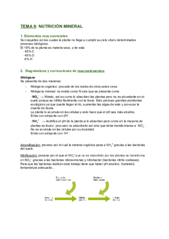 TEMA-9-NUTRICION-MINERAL-3.pdf