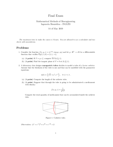 marius-ExamenFinal1819NuevoIngresoEN.pdf