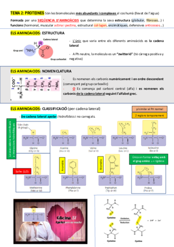 Tema-2-i-3-BioMol.pdf