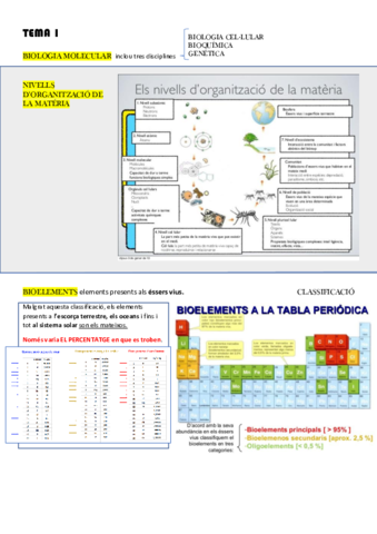 Tema-1-BioMol.pdf