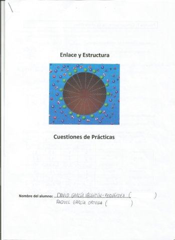 Informe-Practicas-Enlace.pdf