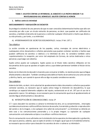TEMA-7.pdf