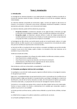 Tema 1 teoria de las relaciones laborales.pdf