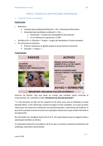 TEMA-6.pdf